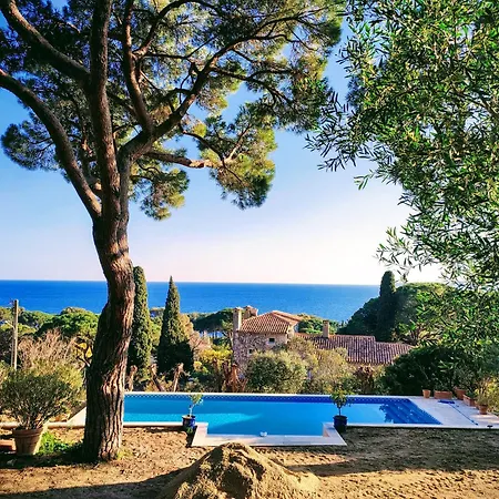 Fantasia Sainte-Maxime